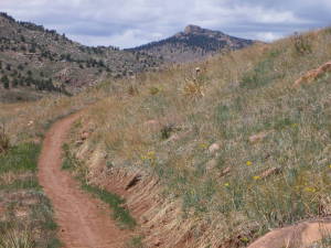 Photo at Blue Sky Marathon site. 